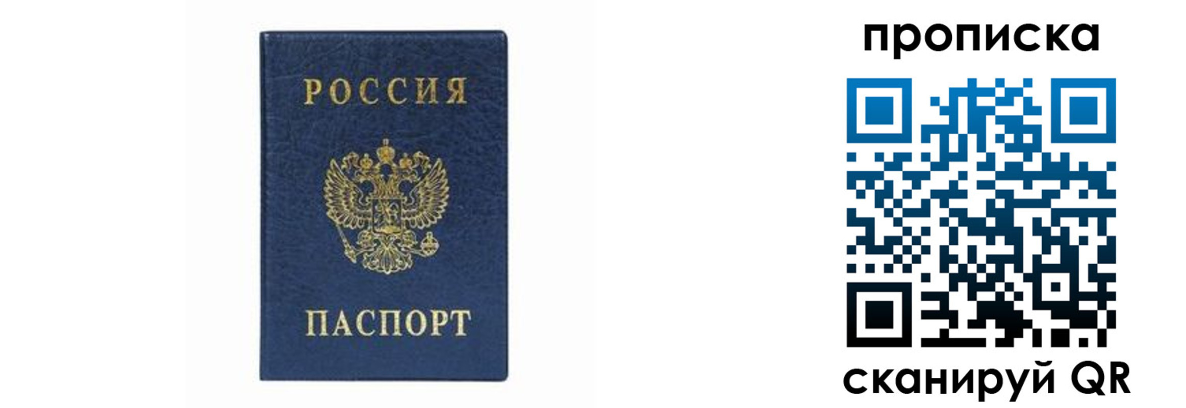 временная регистрация поиск в Новотроицке
